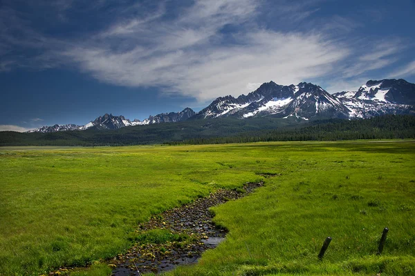 Sawtooth Bergen Och Blommor Från Stanley Idaho — Stockfoto