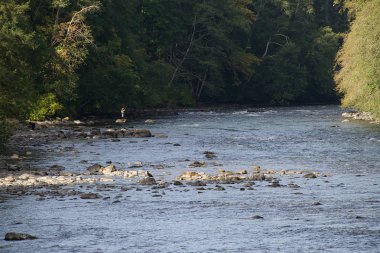 Kennedy River Canyon görünümü Trailhead, Vancouver Adası, British Columbia yakınındaki balıkçı sinek