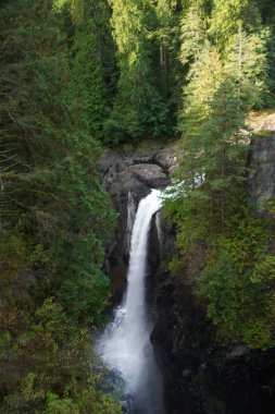 Elk Falls, Vancouver Adası, Britanya Kolumbiyası