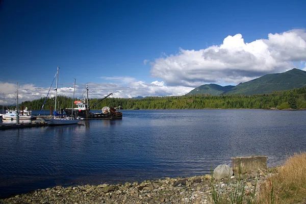 Ucluelet Harbor Ostrov Vancouver Britská Kolumbie — Stock fotografie