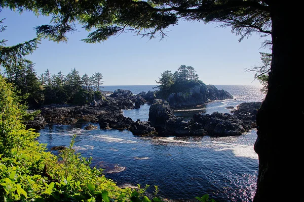 Ucluelet Lighthouse Loop Parte Wild Pacific Trail Anphitrite Point Vancouver — Foto de Stock