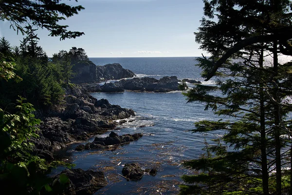 Ucluelet Deniz Feneri Döngü Bölüm Vahşi Pasifik Amphitrite Noktası Vancouver — Stok fotoğraf