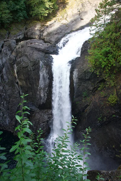 Elk Falls Vancouver Adası Britanya Kolumbiyası — Stok fotoğraf