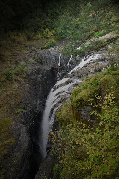 Ngiliz River Falls Provincial Park Vancouver Adası Britanya Kolumbiyası — Stok fotoğraf