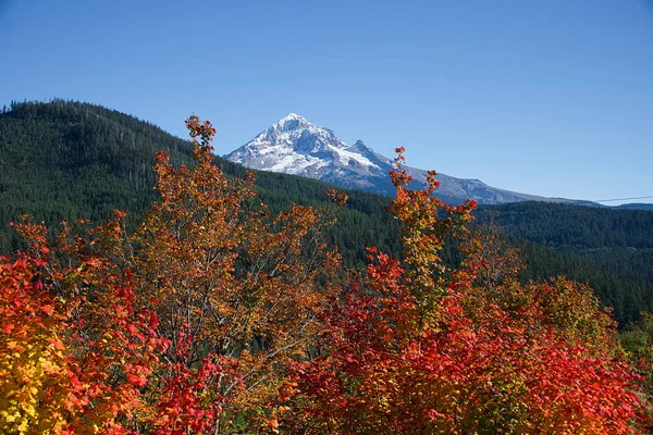 Herbstfarben Den Oregon Kaskaden Der Nähe Der Motorhaube — Stockfoto