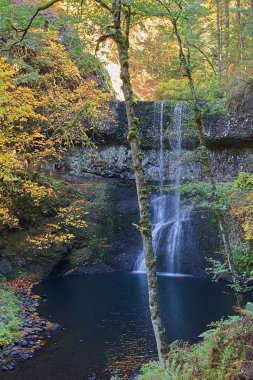 Lower South Falls, Silver Falls Eyalet Parkı, Oregon