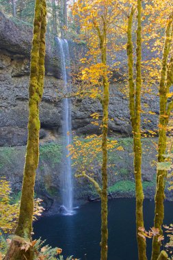 South Falls, Silver Falls Eyalet Parkı, Oregon