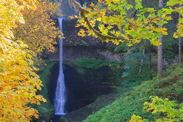 Orta Kuzey Falls Gümüş Falls State Park Oregon — Stok fotoğraf