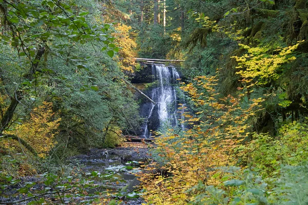 Yukarı Kuzey Şelaleleri Silver Falls Eyalet Parkı Oregon — Stok fotoğraf