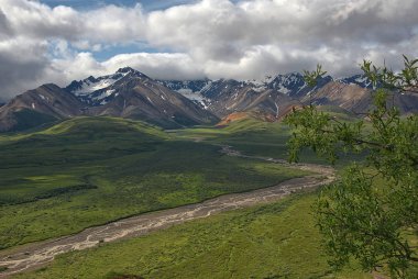 Dağ silsilesi Mt. Denali Milli Parkı'nda Alaska