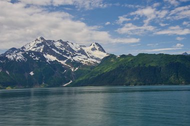 Discovery Bay, Kenai Fjords Milli Parkı, Alaska