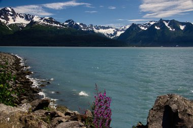 Seward, Alaska çevre diriliş Bay