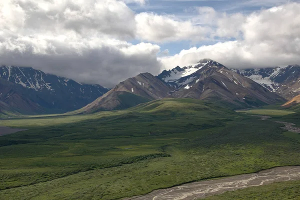 Pohoří Denali National Park Aljašce — Stock fotografie