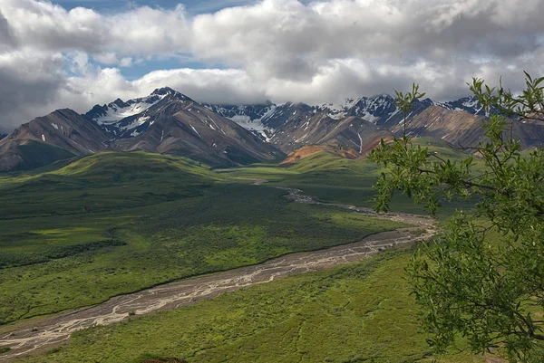 Chaîne Montagnes Parc National Denali Alaska — Photo