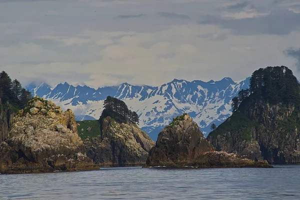 Discovery Bay Kenai Fjords National Park Alasca — Fotografia de Stock