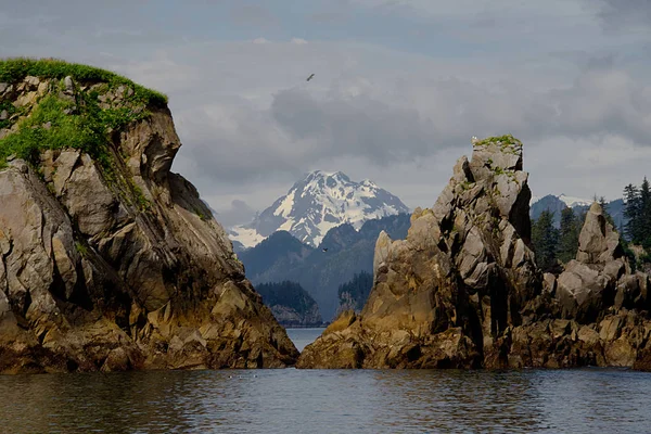 Discovery Bay Kenai Fjords National Park Alasca — Fotografia de Stock