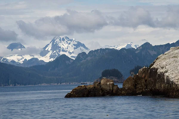 Discovery Bay Kenai Fjords National Park Alasca — Fotografia de Stock