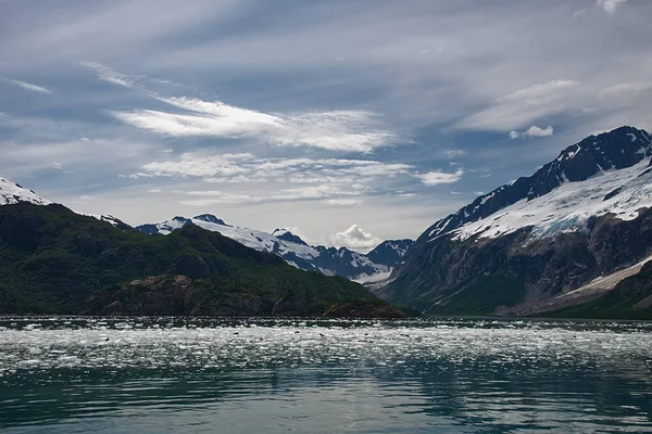 Utsikt Över Glaciären Med Hamnen Sälar Discovery Bay Kenai Fjords — Stockfoto