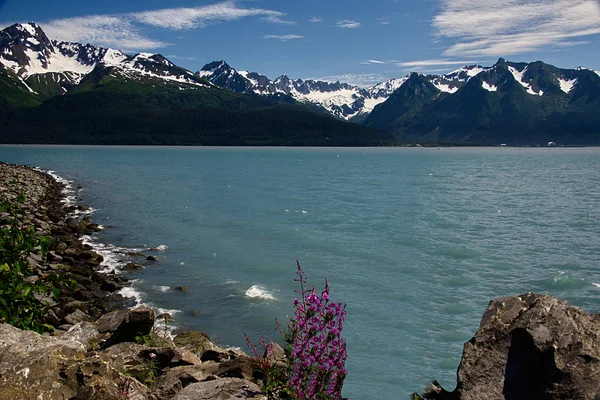 Ressurreição Bay Perto Seward Alasca — Fotografia de Stock