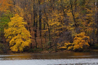 Renkli sonbahar yaprakları ile Batı Nehri