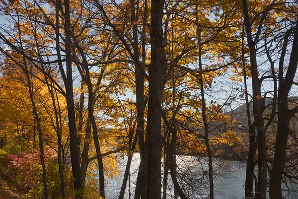 Rivière Blanche Avec Feuillage Automne Coloré Près Royalton Vermont — Photo