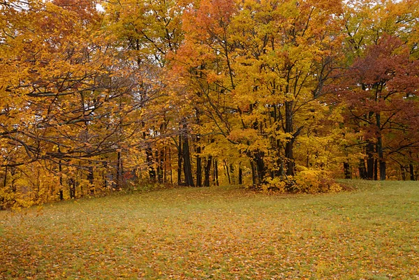 Colori Autunnali Vicino Marlboro Vermont — Foto Stock