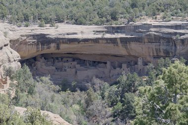 Mesa Verde 3826