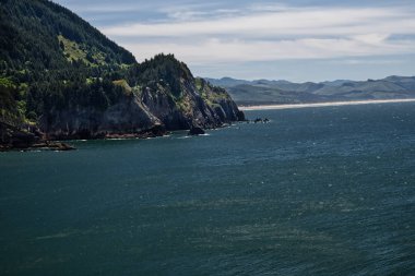 Oswald Batı Eyalet Parkı 4008