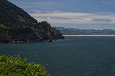 Oswald Batı Eyalet Parkı 4026