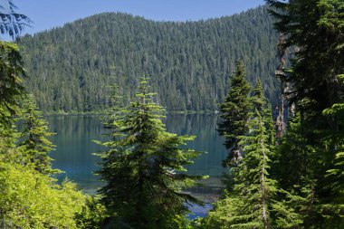 Mt Rainier_4551