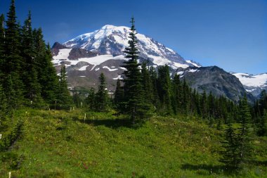 Mt Rainier_4606