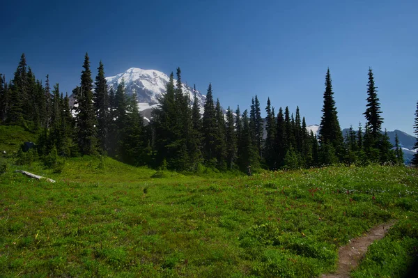 MT Rainier_4602 — Φωτογραφία Αρχείου