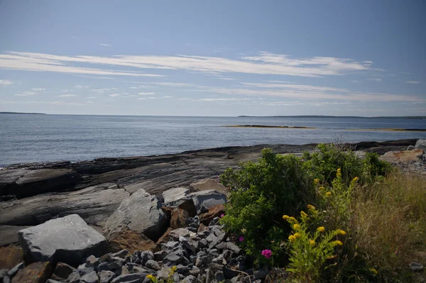 Nova Scotia_4723 — Stock fotografie