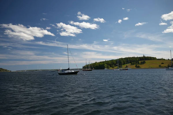 Nova Scotia _ 4756 — Stock fotografie