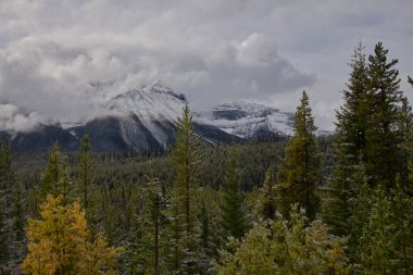 Kanada Kayalıkları _ 5237