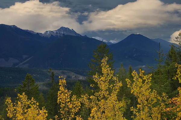 Canadese Rockies _ 5229 — Stockfoto