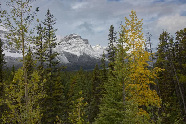 Montagne Rocciose canadesi _ 5250 — Foto Stock