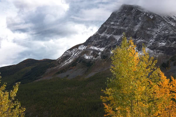 Montagne Rocciose canadesi _ 5283 — Foto Stock