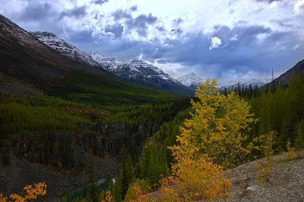 Montagne Rocciose canadesi _ 5287 — Foto Stock