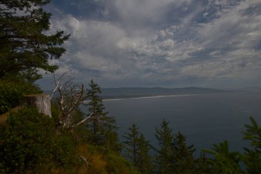 Oregon Sahil Hattı ve Cape Gözcü Yolu 'ndan Kiwanda Burnu _ 6370