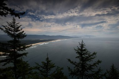 Oregon Sahil Hattı ve Cape Gözcü Yolu 'ndan Kiwanda Burnu _ 6361