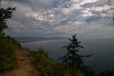 Oregon Sahil Hattı ve Cape Gözcü Yolu 'ndan Kiwanda Burnu _ 6369