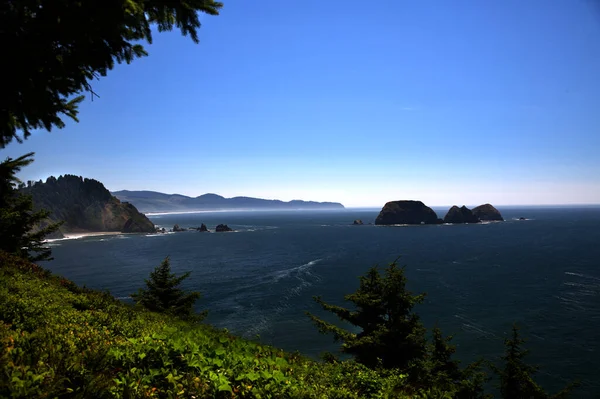 Refugio Nacional Vida Silvestre Three Arch Rocks Cape Meares Costa —  Fotos de Stock