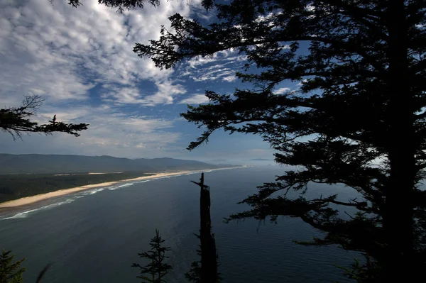 Oregon Coast Line Cape Kiwanda Desde Cape Lookout Trail 6380 — Foto de Stock