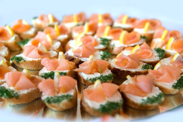 Close Small Canapes Arranged Plate Light Background Selective Focus — Stock Photo, Image