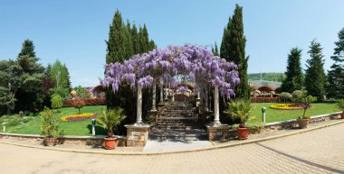 Kemerli constructionr bir eve giden bir merdiven yol üzerinde renkli lila mor sarkık wisteria çiçeklerle kaplı