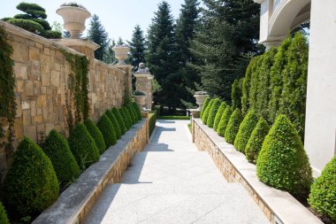 Kutusu ağaçlar çalılar ve bitkiler yolun yakınında modern bahçe tasarımı