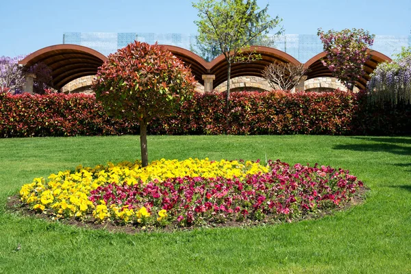 View Attractive Backyard Blooming Flowers Conifers Well Kept Lawns Wide — Stock Photo, Image