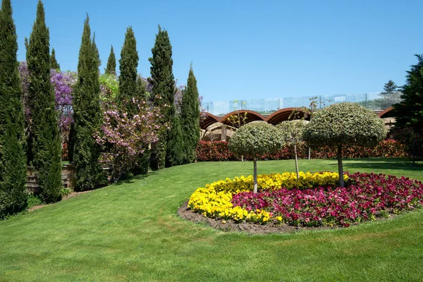 View Attractive Backyard Blooming Flowers Conifers Well Kept Lawns Wide — Stock Photo, Image