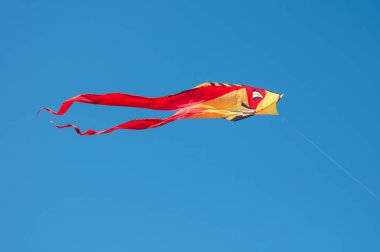 mavi gökyüzünde renkli balık uçurtma